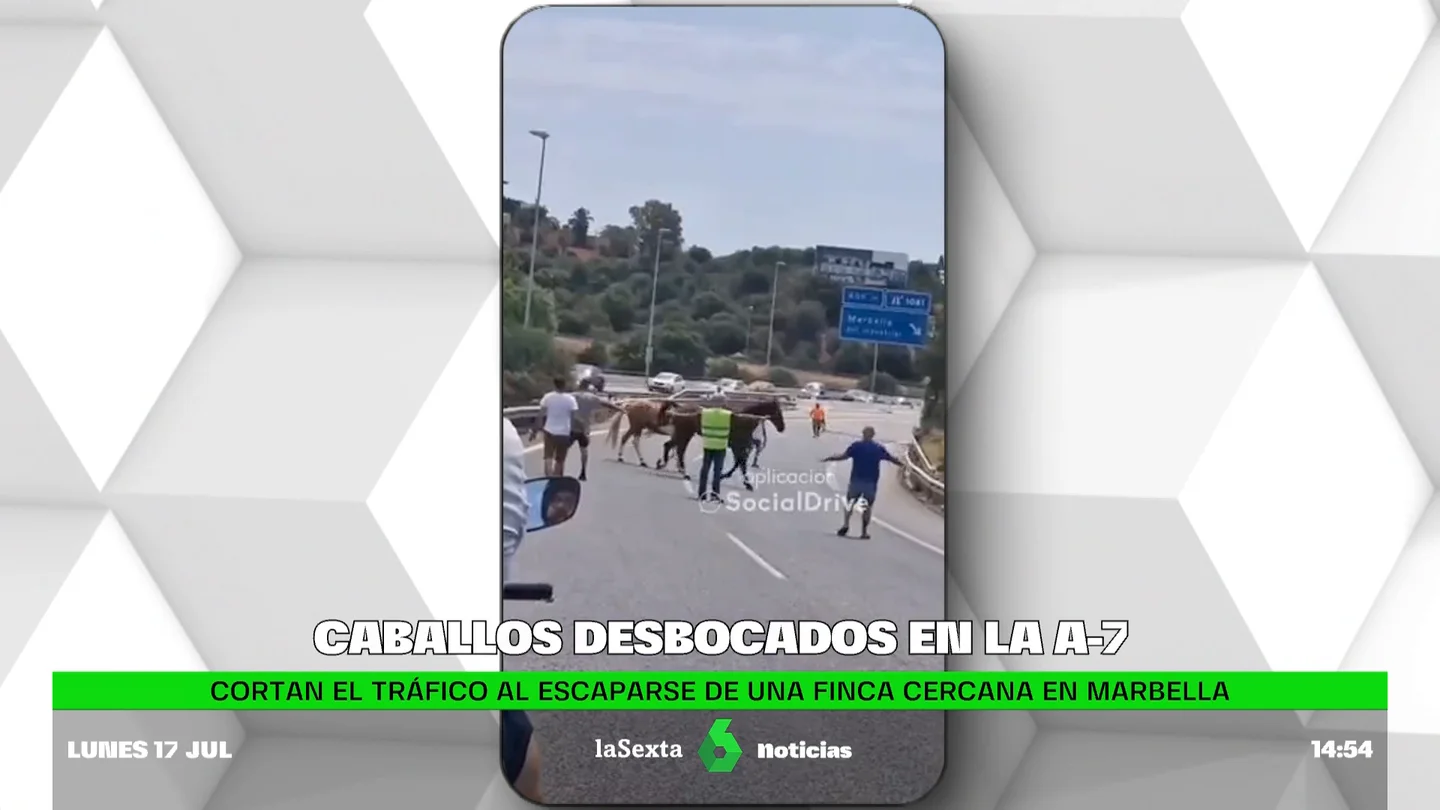 Caballos desbocados Caballos desbocados