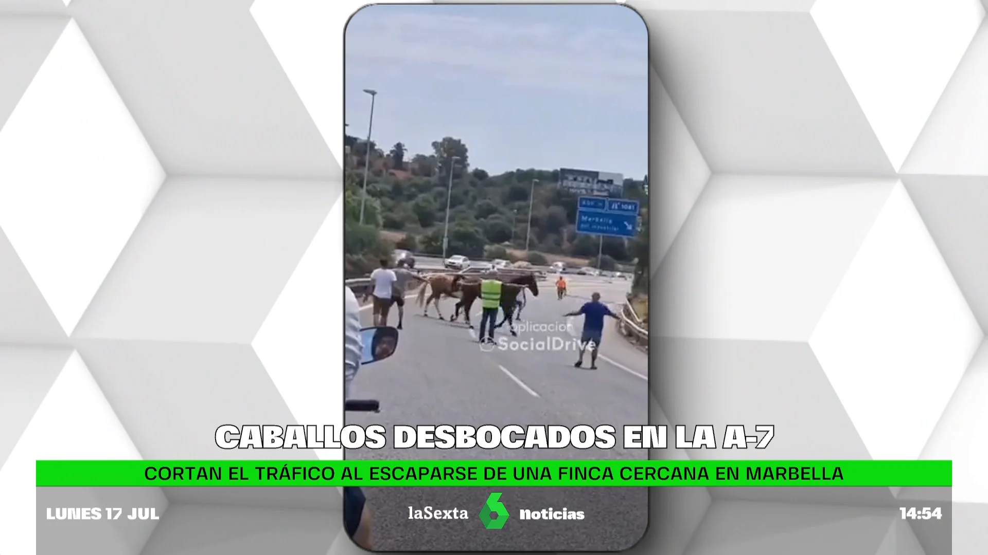 Caballos desbocados