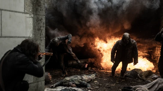 Daryl Dixon también luchará contra los zombis en Francia. Daryl Dixon también luchará contra los zombis en Francia.
