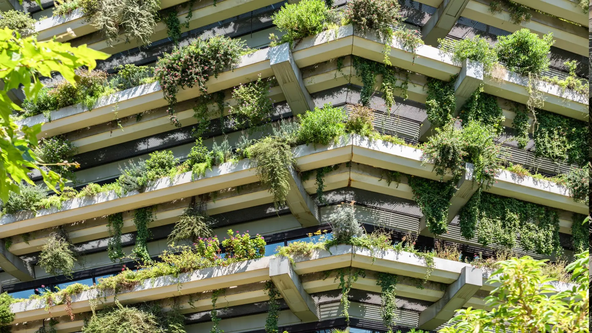 un edificio con plantas en los balcones un edificio con plantas en los balcones