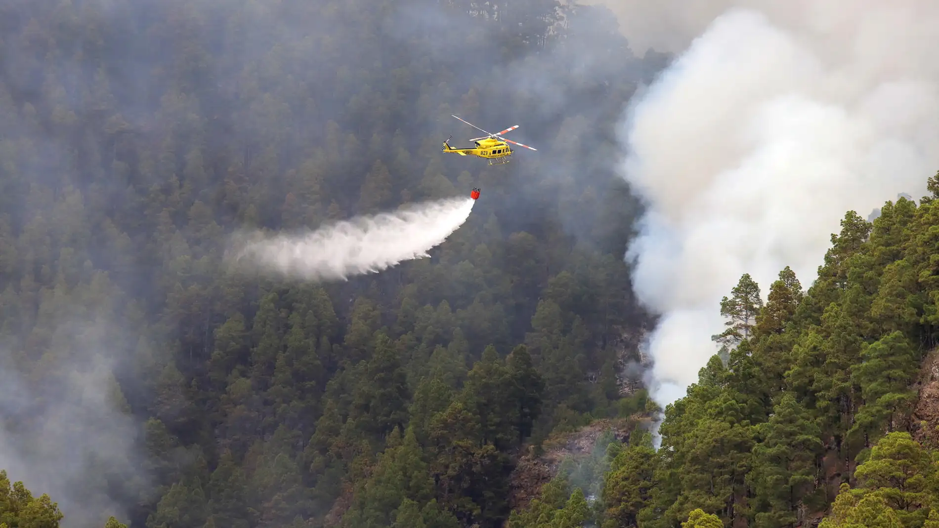 Un helicóptero vierte agua sobre el bosque incendiado en La Palma