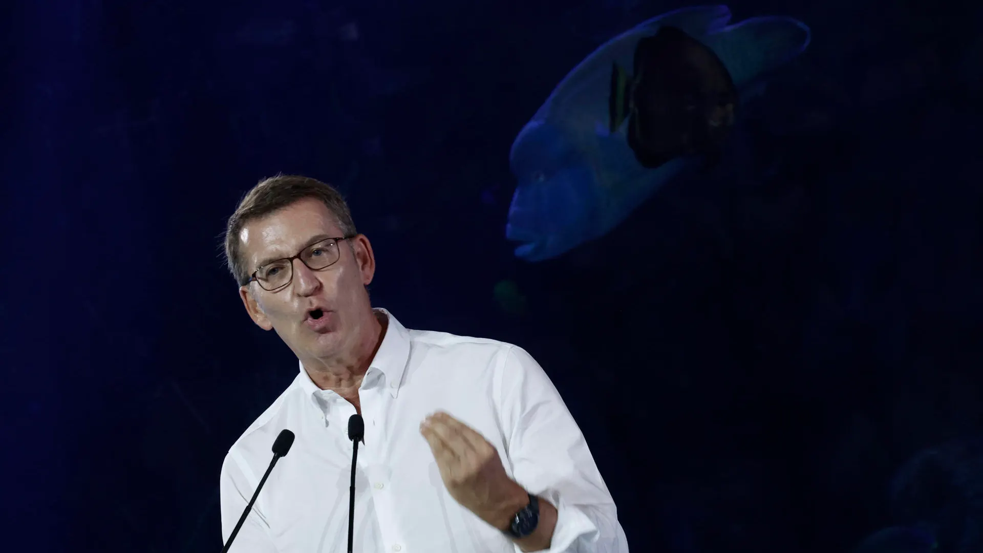 El presidente del PP, Alberto Núñez Feijóo, durante un acto de su partido.