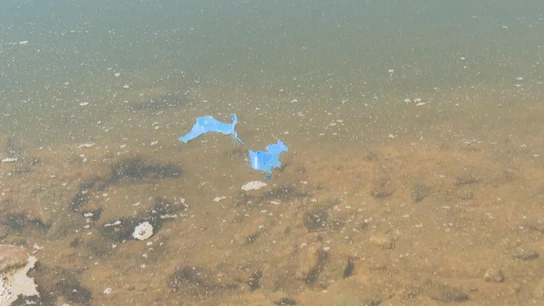 Los microplásticos llegan al agua que bebemos tras invadir lagos y embalses: "Hay presencia en casi la totalidad" Los microplásticos llegan al agua que bebemos tras invadir lagos y embalses: "Hay presencia en casi la totalidad"