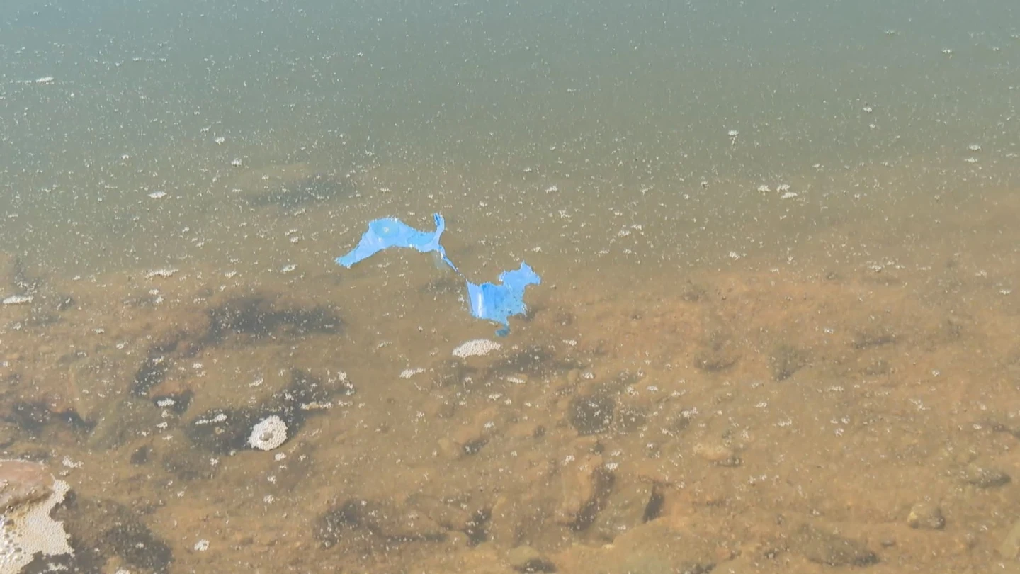 Los microplásticos llegan al agua que bebemos tras invadir lagos y embalses: "Hay presencia en casi la totalidad" Los microplásticos llegan al agua que bebemos tras invadir lagos y embalses: "Hay presencia en casi la totalidad"