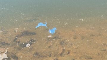 Los microplásticos llegan al agua que bebemos tras invadir lagos y embalses: "Hay presencia en casi la totalidad"