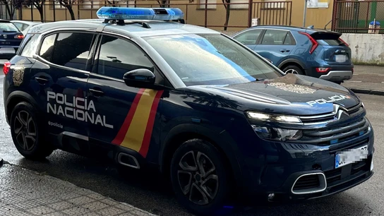 Desarticulada una organización criminal dedicada a introducir cocaína en España en vuelos comerciales Desarticulada una organización criminal dedicada a introducir cocaína en España en vuelos comerciales