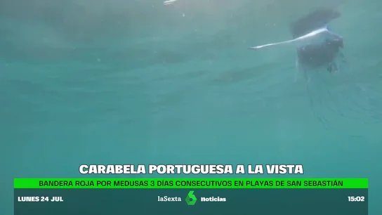 Overbooking de carabelas portuguesas en aguas del Cantábrico Overbooking de carabelas portuguesas en aguas del Cantábrico