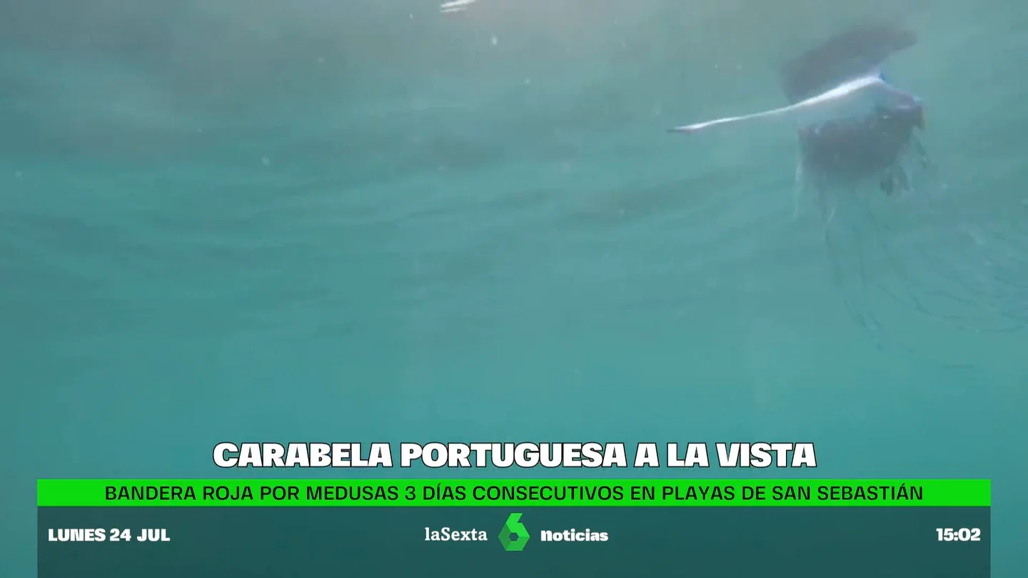 Overbooking de carabelas portuguesas en aguas del Cantábrico Overbooking de carabelas portuguesas en aguas del Cantábrico