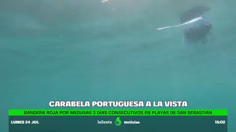 Overbooking de carabelas portuguesas en aguas del Cantábrico