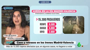 Beatriz de Vicente Beatriz de Vicente