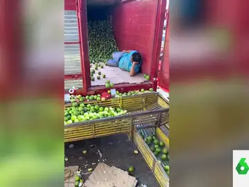 &quot;Nos representa a todos&quot;: la reacción de Dani Mateo al descubrir la técnica de un trabajador para descargar fruta
