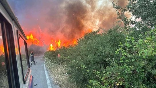 Los incendios se extienden en Sicilia Los incendios se extienden en Sicilia