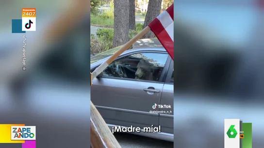Una mujer graba cómo un oso le destroza el coche en su viaje al lago Tahoe: "Ahora le llaman el chatarrero" Una mujer graba cómo un oso le destroza el coche en su viaje al lago Tahoe: "Ahora le llaman el chatarrero"