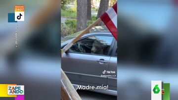 Una mujer graba cómo un oso le destroza el coche en su viaje al lago Tahoe: "Ahora le llaman el chatarrero"