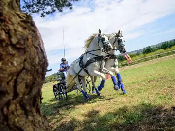 Equiocio. Ferrol Equiocio. Ferrol