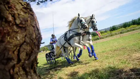 Equiocio. Ferrol Equiocio. Ferrol