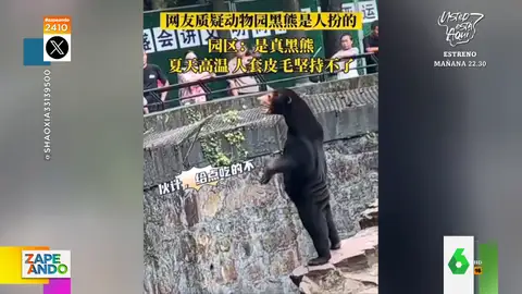 El increíble parecido de un oso con una persona disfrazada que obliga a un zoo de China a pronunciarse