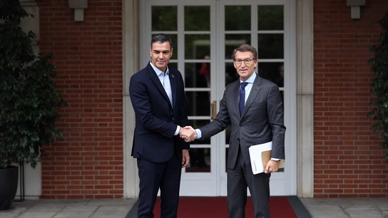 Pedro Sánchez y Alberto Núñez Feijóo se saludan a su llegada a una reunión en La Moncloa en 2022. Pedro Sánchez y Alberto Núñez Feijóo se saludan a su llegada a una reunión en La Moncloa en 2022.