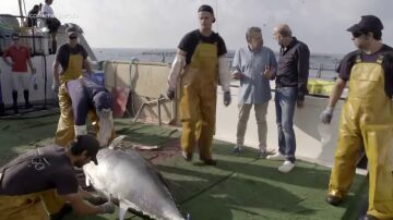 Chicote alucina con la cantidad de atún rojo ilegal que se vende sin control en España: "500.000 kilos, el 10% del total"
