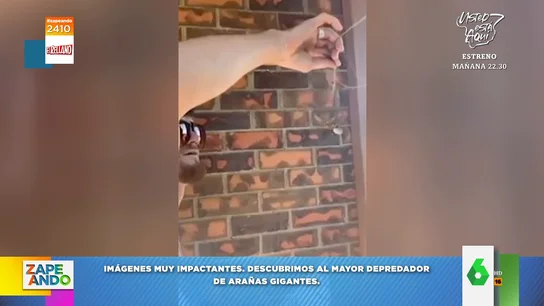 "Ni alioli ni nada": así disfruta un chico de un 'suculento' menú que recoge del techo de su casa "Ni alioli ni nada": así disfruta un chico de un 'suculento' menú que recoge del techo de su casa