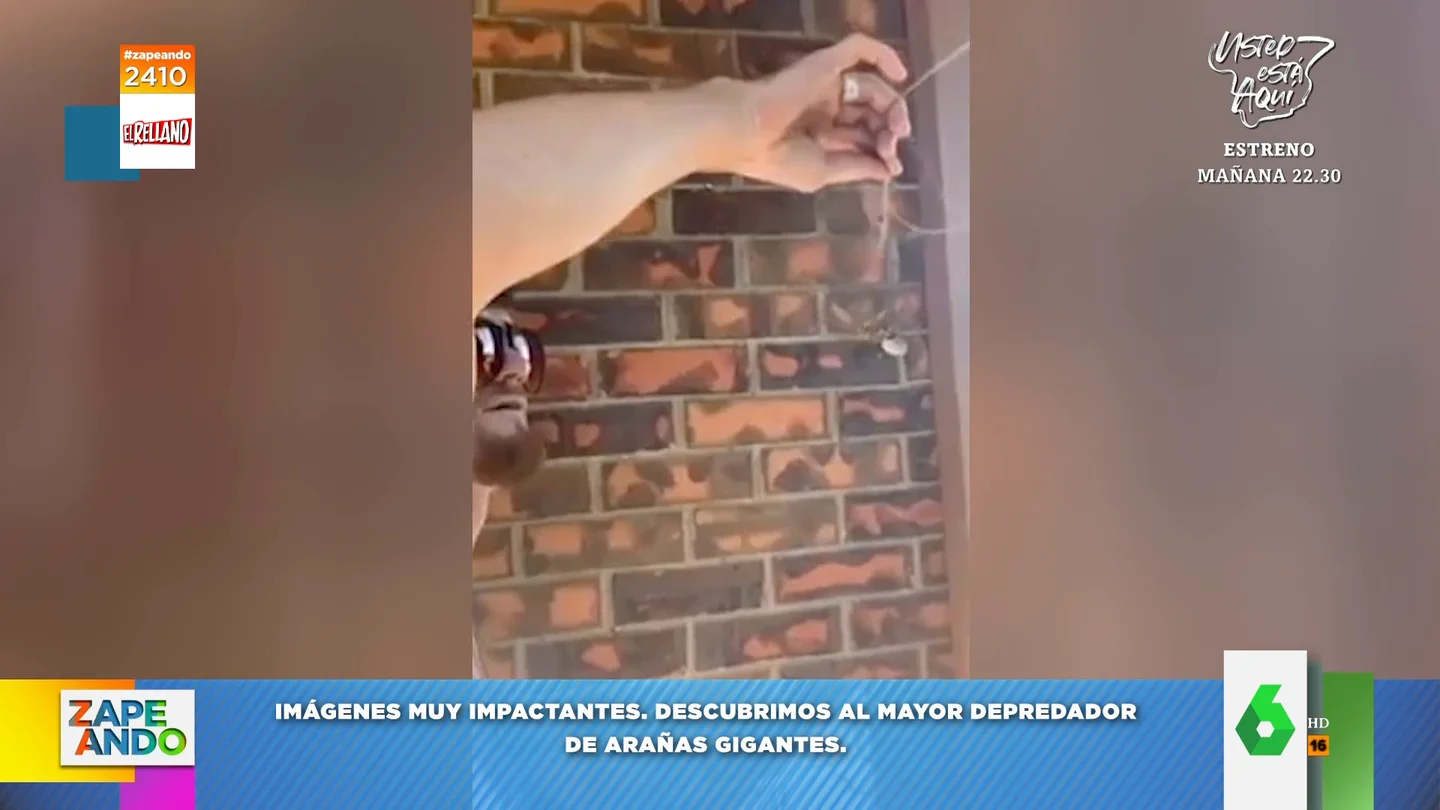 "Ni alioli ni nada": así disfruta un chico de un 'suculento' menú que recoge del techo de su casa "Ni alioli ni nada": así disfruta un chico de un 'suculento' menú que recoge del techo de su casa