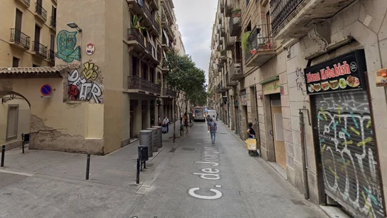 Muere una joven de 20 años al caerle encima una palmera en Barcelona Muere una joven de 20 años al caerle encima una palmera en Barcelona