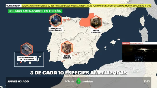 ESPECIES ESPECIES