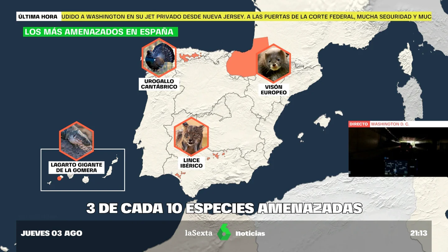 ESPECIES ESPECIES