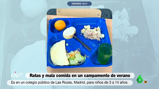 Ratas, piojos, aulas a 40 grados y mala comida: la terrible experiencia en un campamento de verano en Madrid Ratas, piojos, aulas a 40 grados y mala comida: la terrible experiencia en un campamento de verano en Madrid