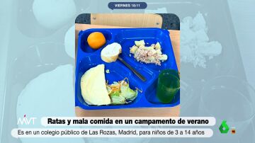 Ratas, piojos, aulas a 40 grados y mala comida: la terrible experiencia en un campamento de verano en Madrid