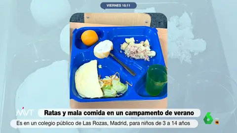 Ratas, piojos, aulas a 40 grados y mala comida: la terrible experiencia en un campamento de verano en Madrid