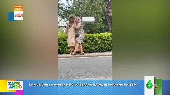 l divertido vídeo viral de dos mujeres que se caen a un seto por la borrachera que llevan l divertido vídeo viral de dos mujeres que se caen a un seto por la borrachera que llevan