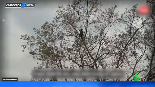 Un hombre se sube a un árbol porque está "agobiado por las deudas" Un hombre se sube a un árbol porque está "agobiado por las deudas"