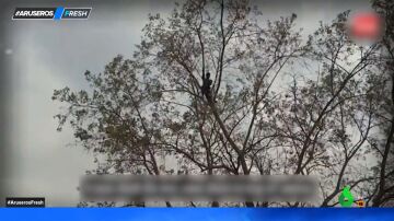 Un hombre se sube a un árbol porque está "agobiado por las deudas"
