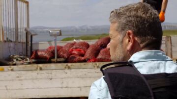 "No hago más que pensar en cuántas veces me habrán engañado": la inquietud de Chicote al descubrir el comercio ilegal de almejas