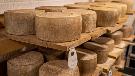 Imagen de archivo de un almacén de quesos Imagen de archivo de un almacén de quesos