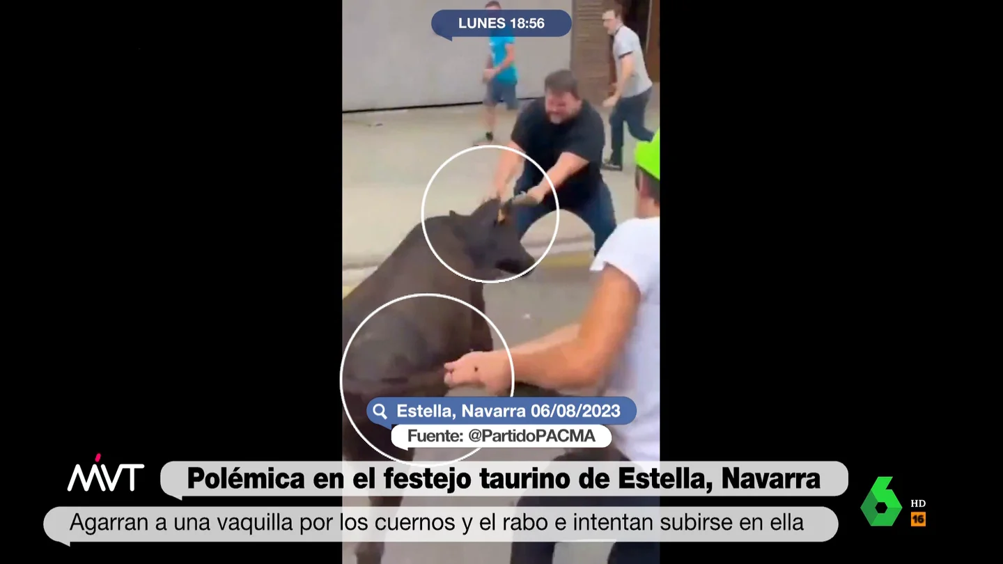Brutalidad en un festejo taurino de Navarra: así maltratan a una vaquilla hasta que la tiran al suelo Brutalidad en un festejo taurino de Navarra: así maltratan a una vaquilla hasta que la tiran al suelo