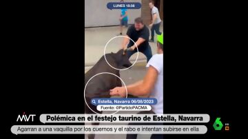 Brutalidad en un festejo taurino de Navarra: así maltratan a una vaquilla hasta que la tiran al suelo