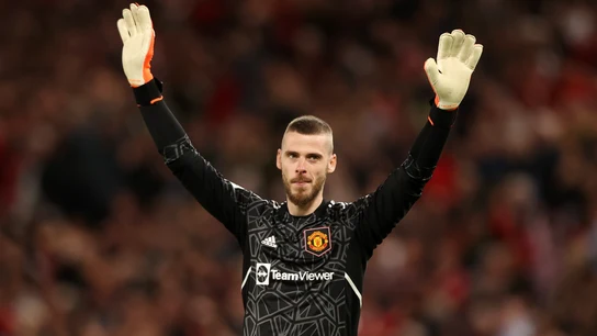 David de Gea David de Gea