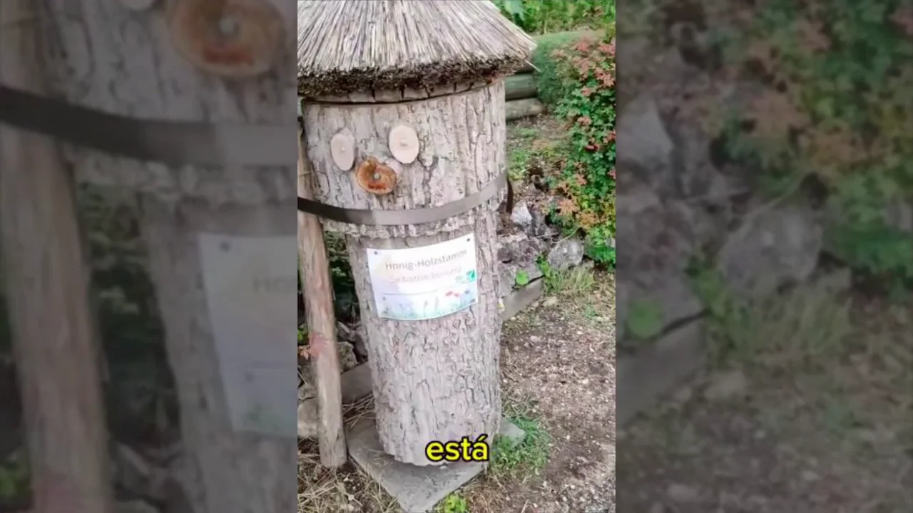 Un hombre se encuentra algo sorprendente en un pueblo de Suiza: "Hemos abierto y mirad lo que hay"