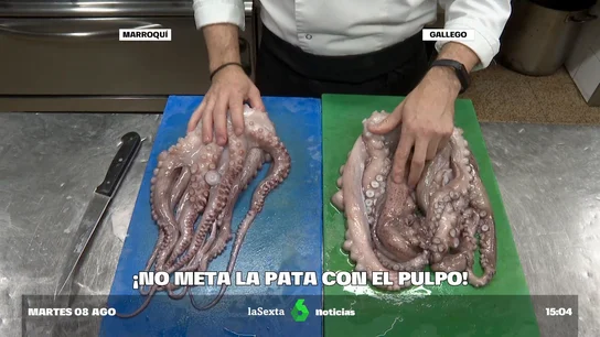 pulpo pulpo