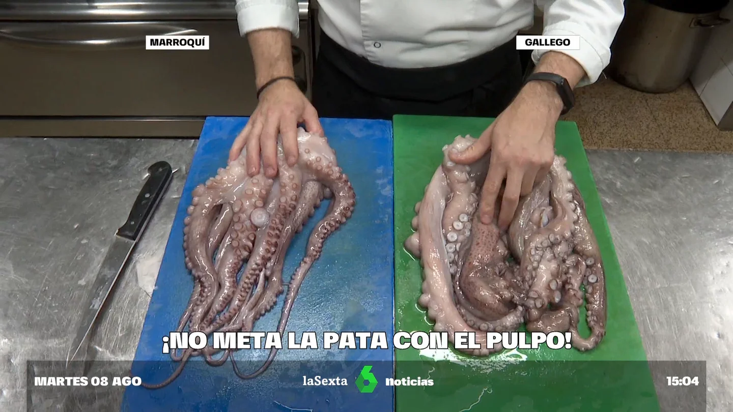 pulpo pulpo