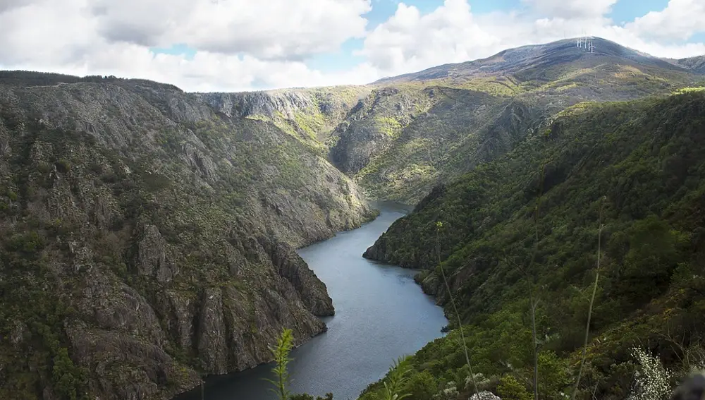 Río Sil. Galicia