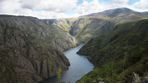 Río Sil. Galicia