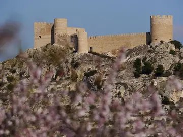 Castillo de Castalla: ¿sabías que fue una fortaleza clave para diversas e históricas batallas? Castillo de Castalla: ¿sabías que fue una fortaleza clave para diversas e históricas batallas?