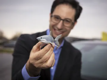 El curioso detalle que esconden algunos coches Opel: ¡un tiburón! El curioso detalle que esconden algunos coches Opel: ¡un tiburón!