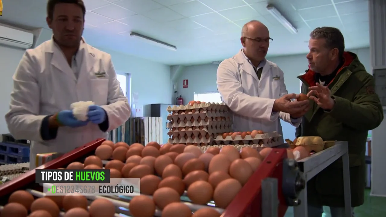 0, 1, 2 ó 3: así puedes saber si los huevos que compras son ecológicos, camperos, de gallinas en suelo o en jaula