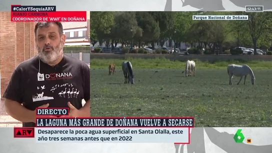 Juanjo Carmona - DoñaAna - ARV Juanjo Carmona - DoñaAna - ARV