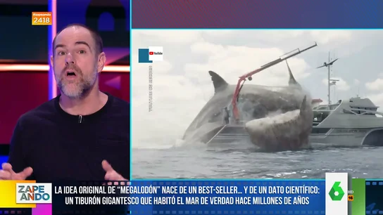 Alberto Rey descubre algunas curiosidades sobre Megalodón Alberto Rey descubre algunas curiosidades sobre Megalodón