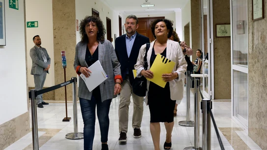 Los diputados de ERC Teresa Jordà (i), Francesc-Marc Álvaro y Pilar Vallugera (d) recogen sus actas en el Congreso Los diputados de ERC Teresa Jordà (i), Francesc-Marc Álvaro y Pilar Vallugera (d) recogen sus actas en el Congreso